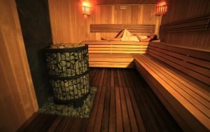 sauny budowa